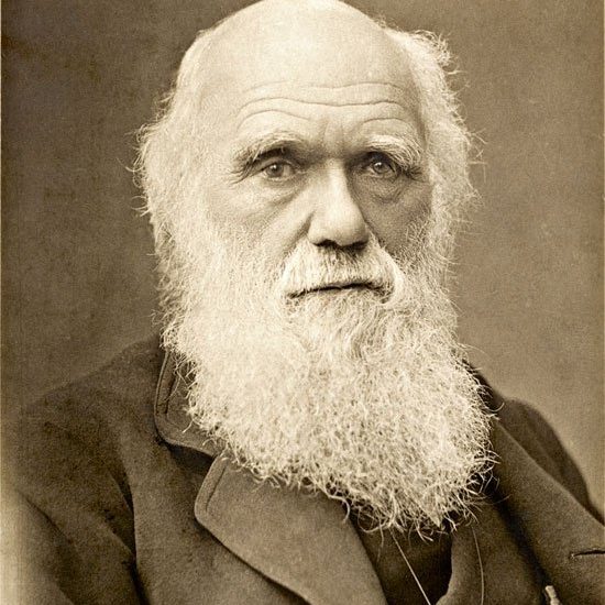 Stay on the Isle of Wight